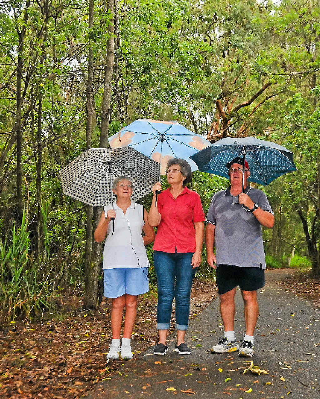 BAT CALL: Marline Archer, Rhonda Selff and Bill Taylor always take umbrellas on their walks along the Boyne River, but they’re not for rain – they’re for the bats. BAT CALL: Marline Archer, Rhonda Selff and Bill Taylor always take umbrellas on their walks along the Boyne River, but they’re not for rain – they’re for the bats.